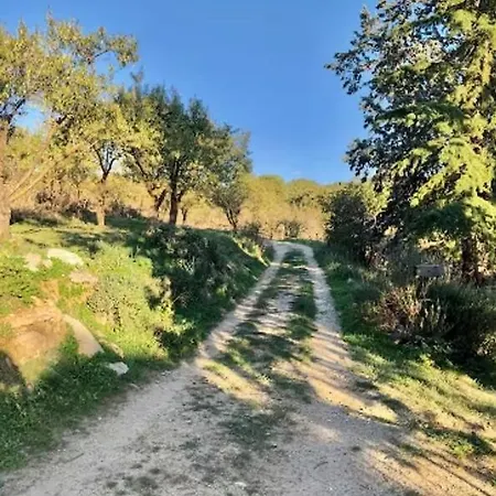 Pietralunga