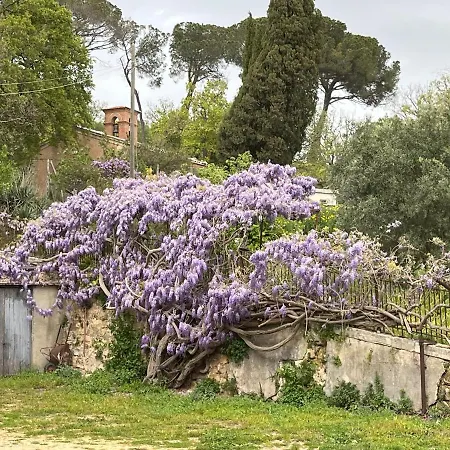 Pietralunga Holiday home *